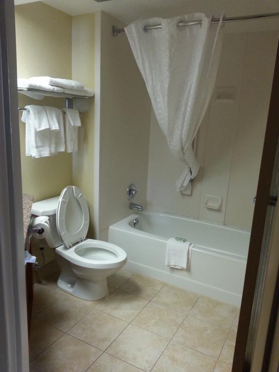 Quality Inn & Suites Saginaw Rum bild