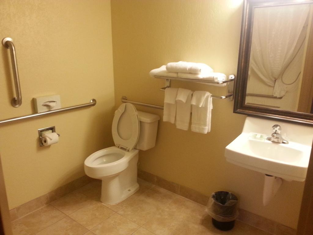 Quality Inn & Suites Saginaw Rum bild