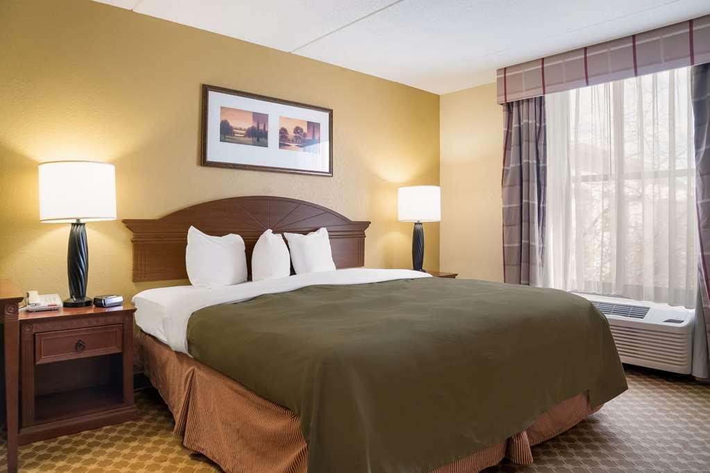 Quality Inn & Suites Saginaw Rum bild