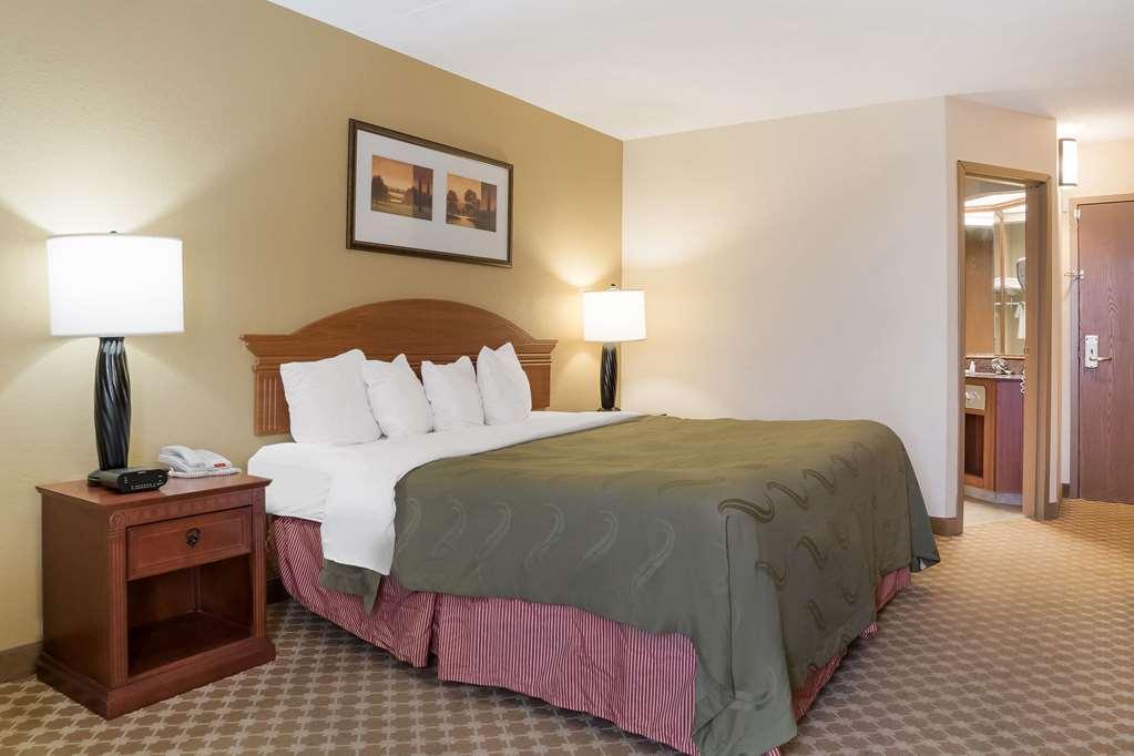Quality Inn & Suites Saginaw Rum bild