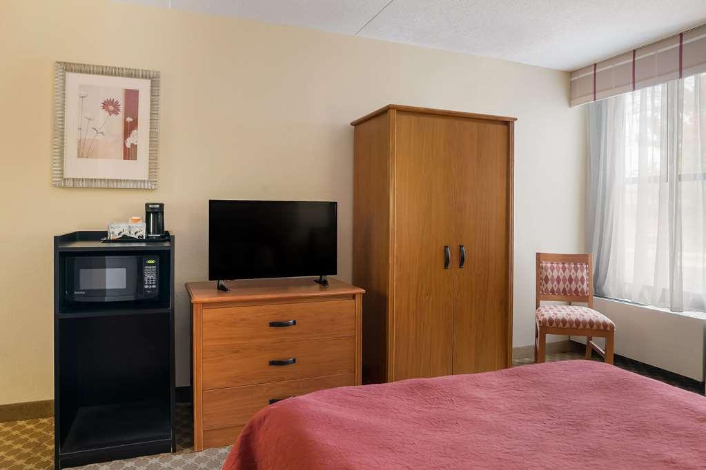 Quality Inn & Suites Saginaw Rum bild