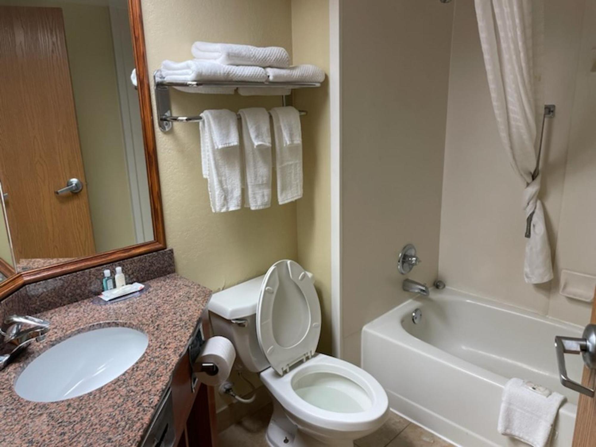 Quality Inn & Suites Saginaw Exteriör bild