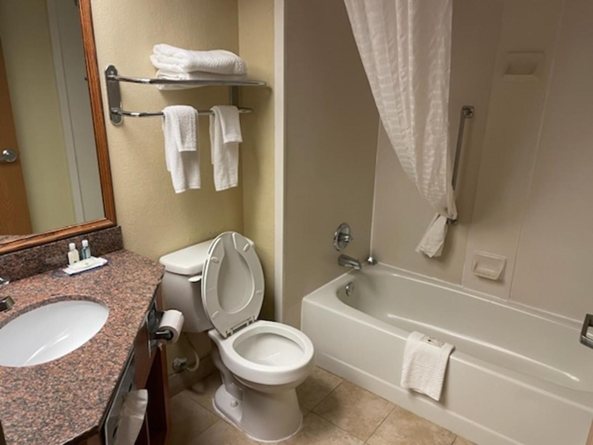 Quality Inn & Suites Saginaw Exteriör bild